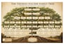 create a professional custom family tree design